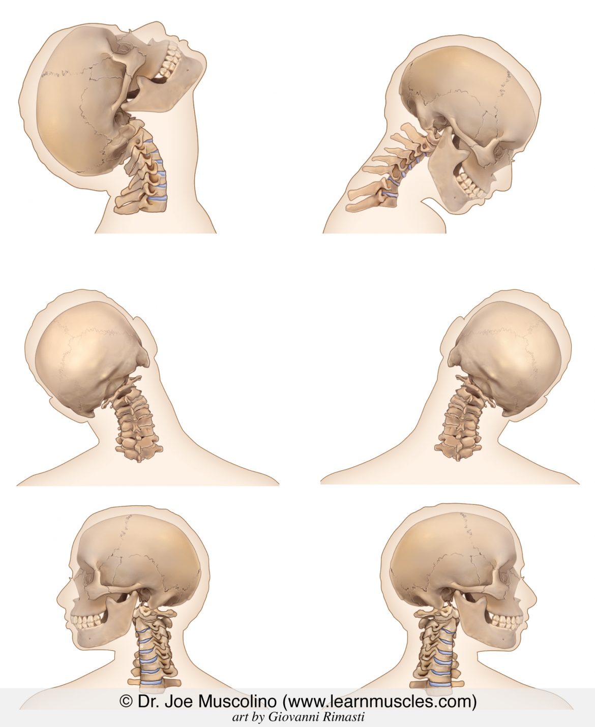 rom-skull