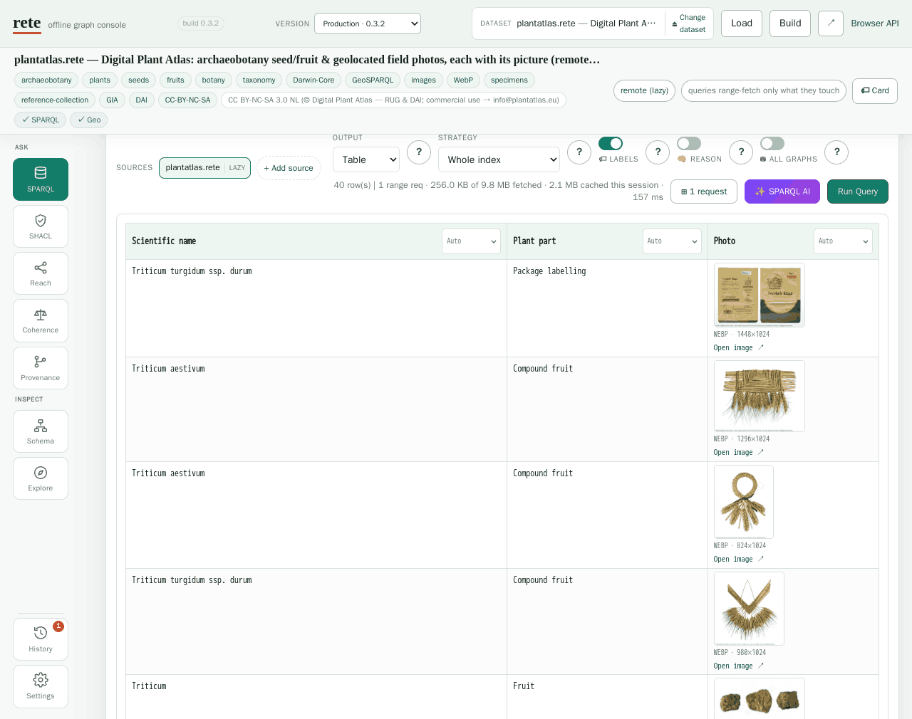 The rete playground querying plantatlas.rete: a three-column results table — Scientific name (Triticum turgidum ssp. durum, Triticum aestivum …), Plant part (Package labelling, Compound fruit …) and Photo, where each Photo cell is a rendered WebP photograph of the specimen captioned 'WEBP · 1448×1024' with an 'Open image' link; the counter above reads 40 row(s), 1 range req, 256.0 KB of 9.8 MB fetched, 157 ms.