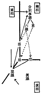 轉相、真相、業相、分別事識、意、六識、空、塵、根、真識、現識