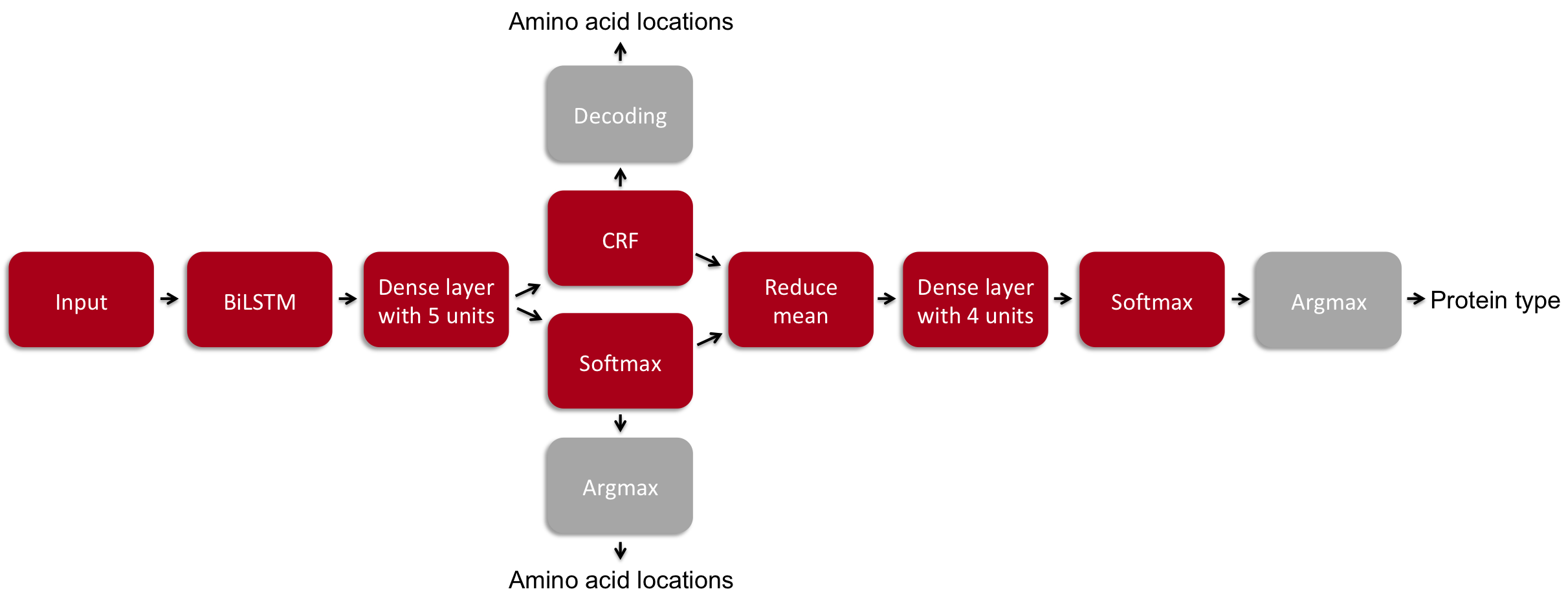 Model setup