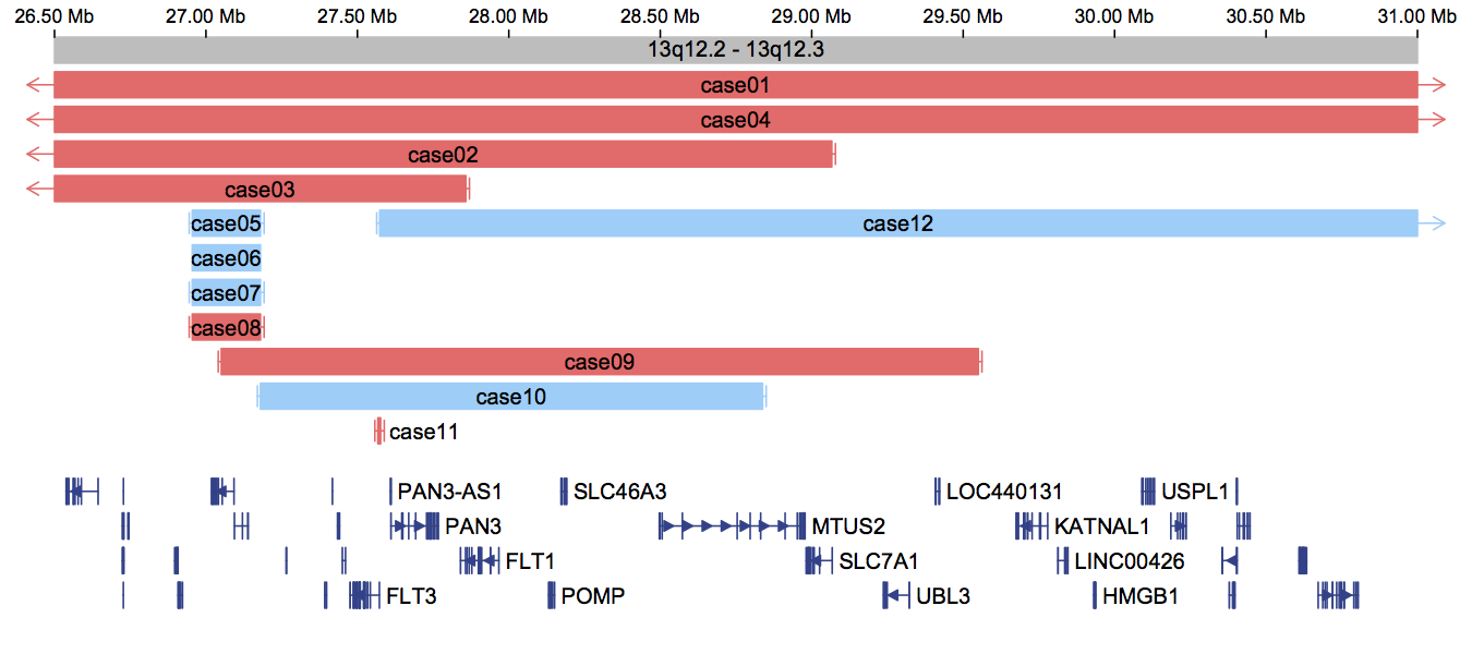 Example cnvgram image