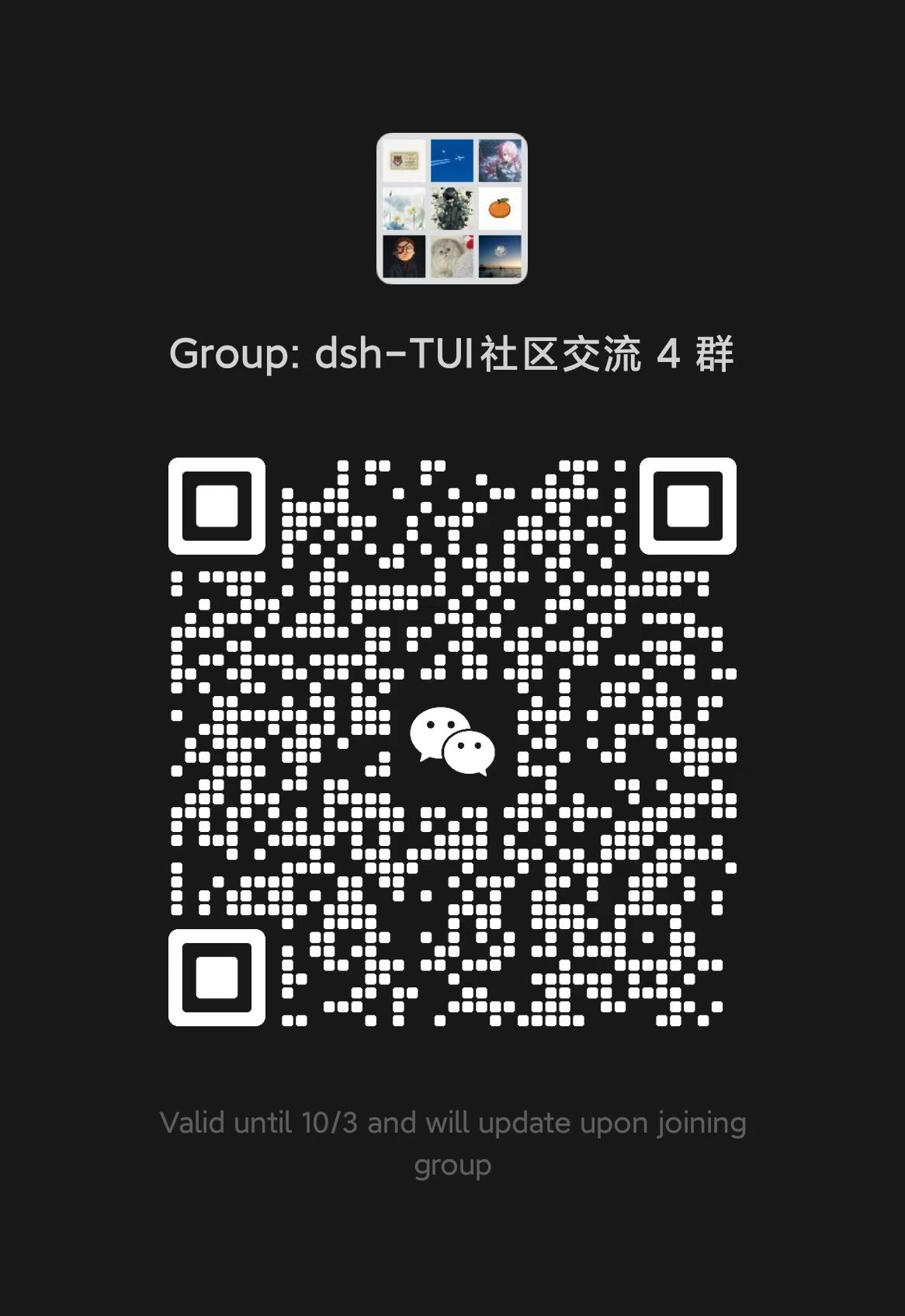 dsh-TUI community WeChat group 4 QR code