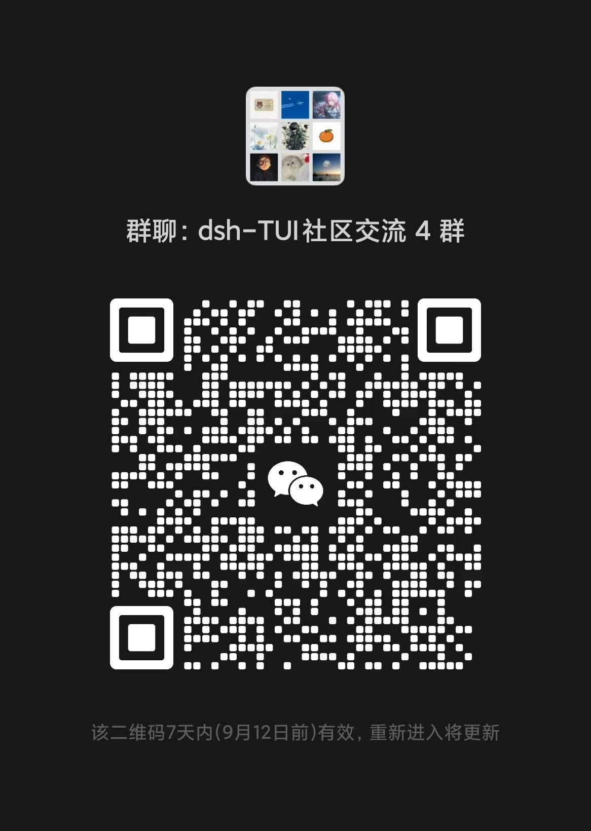 dsh-TUI 项目截图 6