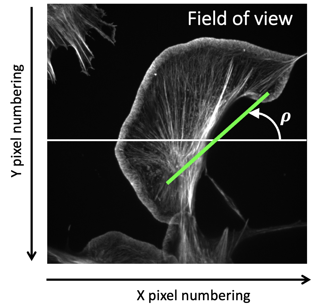 Coordinate system and rho angle convention