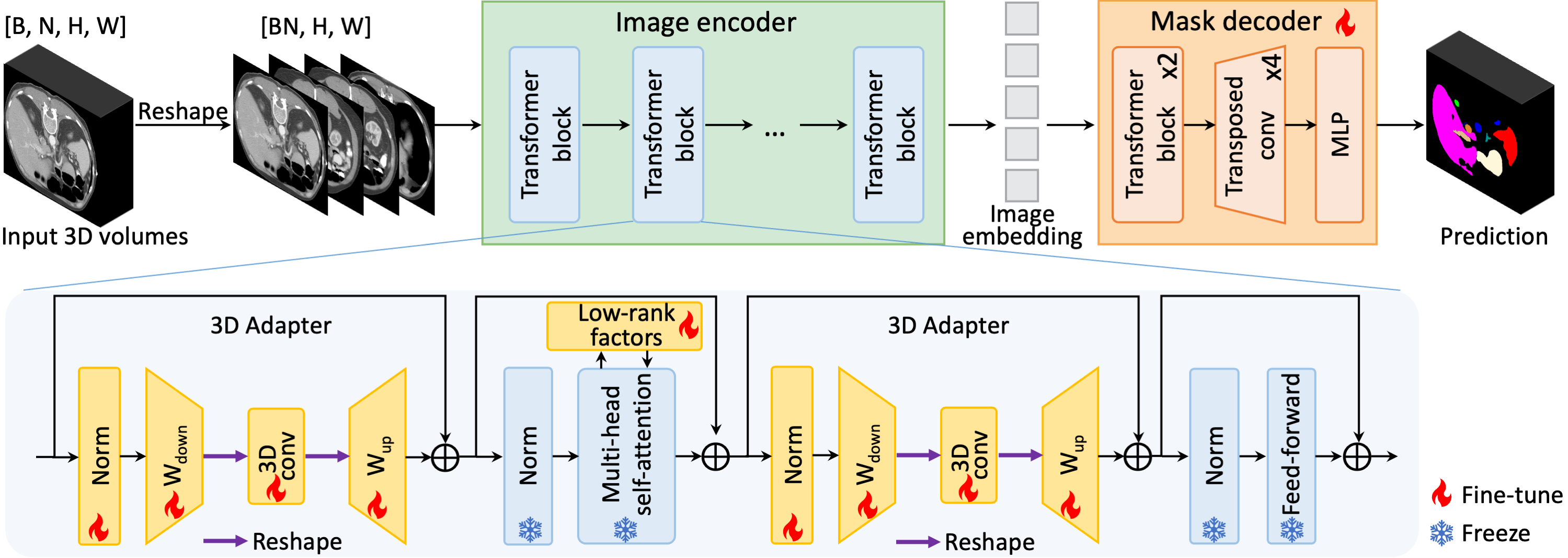 Overview of MA-SAM framework