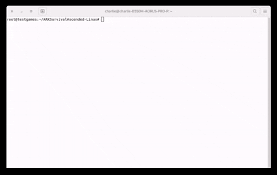 Installer in action