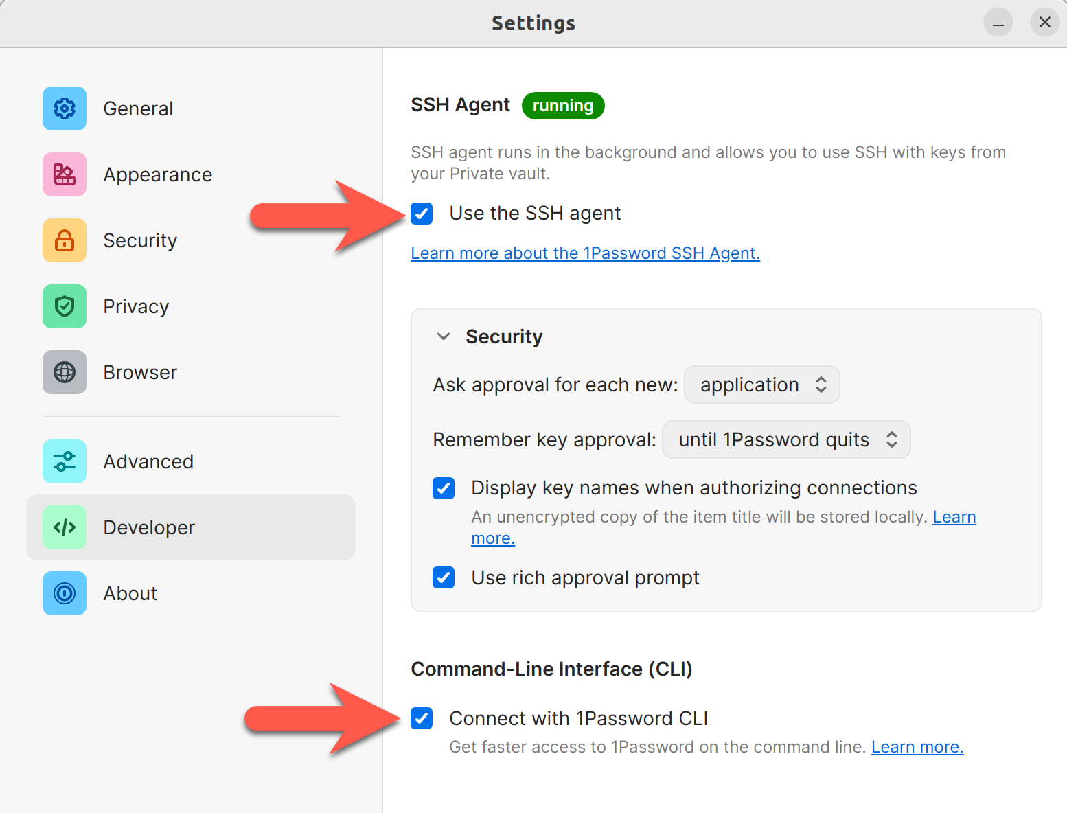 1password_developer_settings_ubuntu