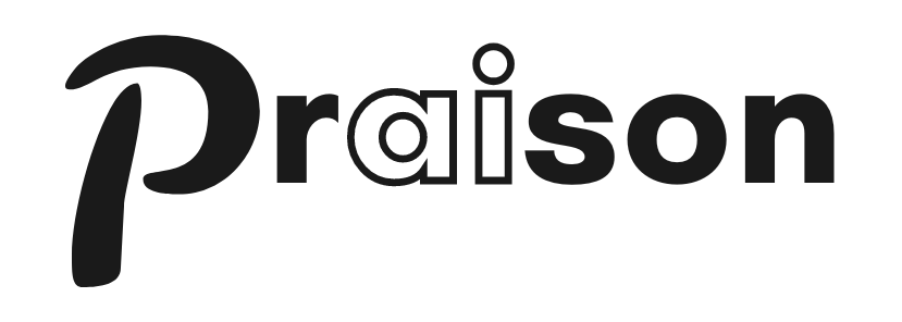 PraisonAI Logo