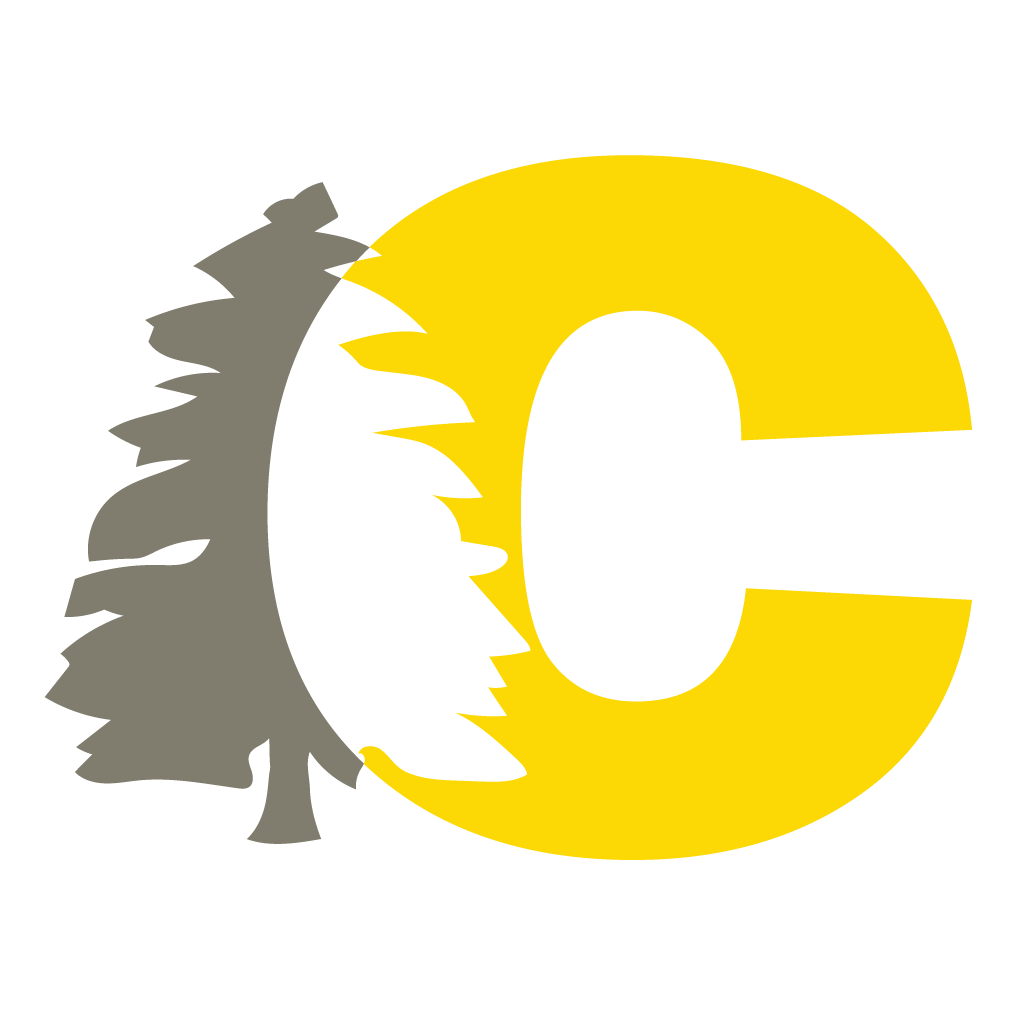 CedarAI Data Depot icon