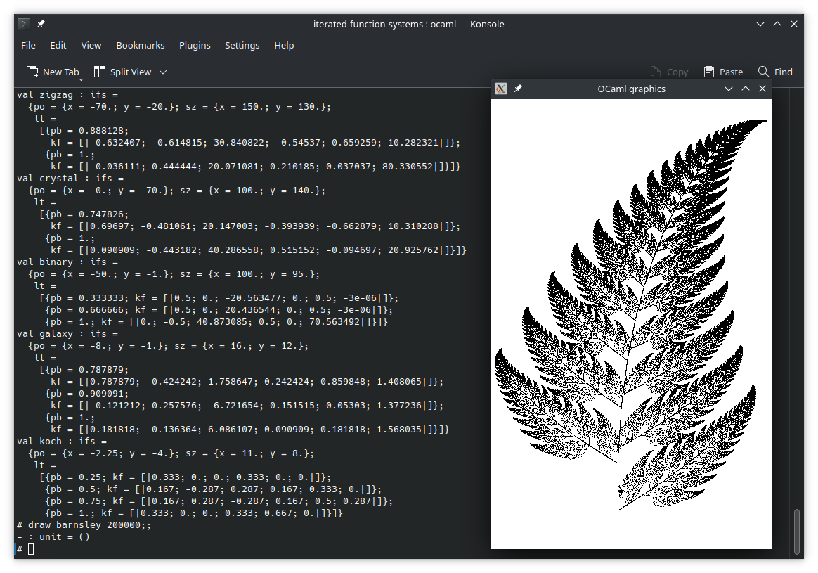 Barnsley Fern