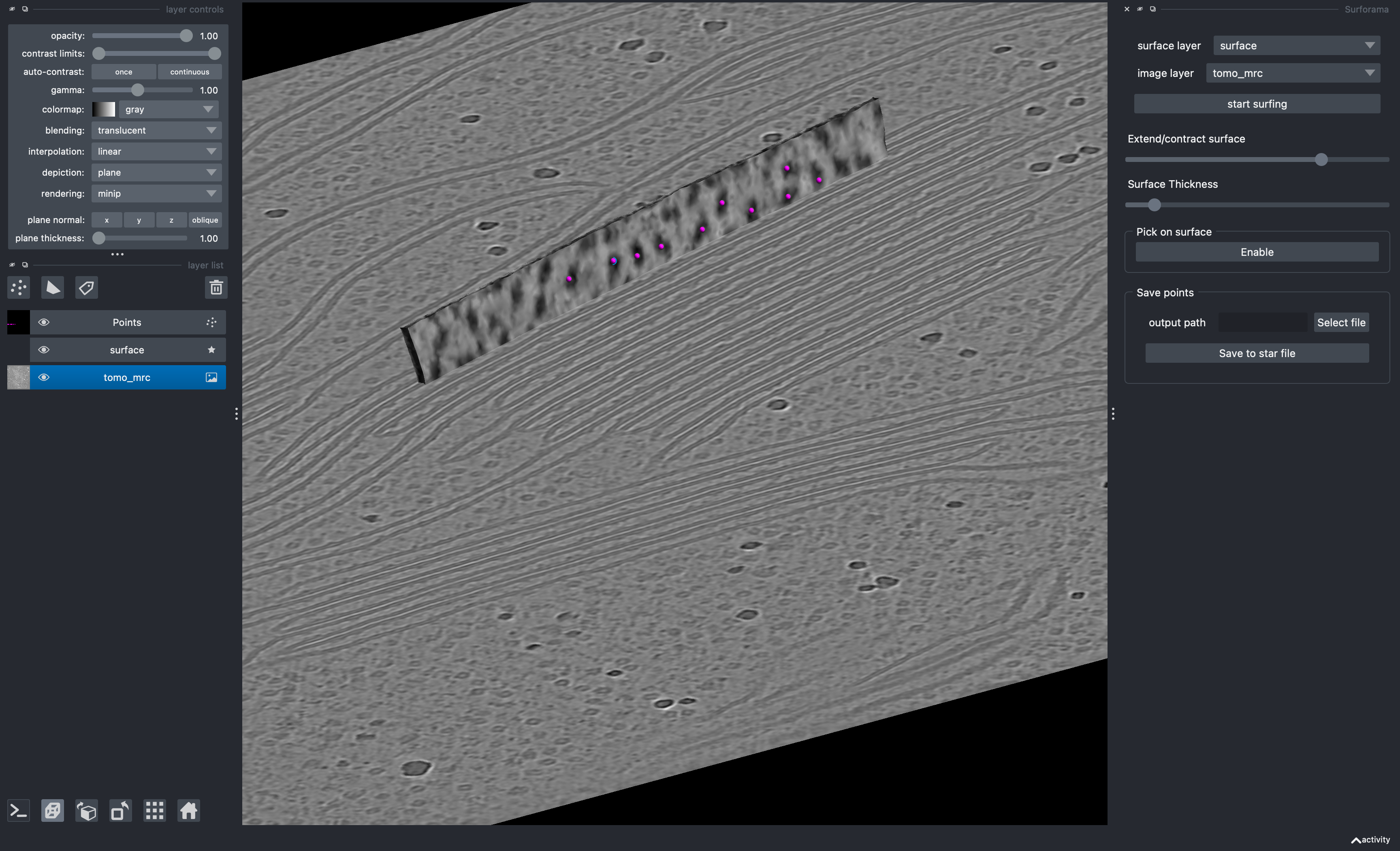 Screenshot of surforama showing a surface in the slice of a tomogram