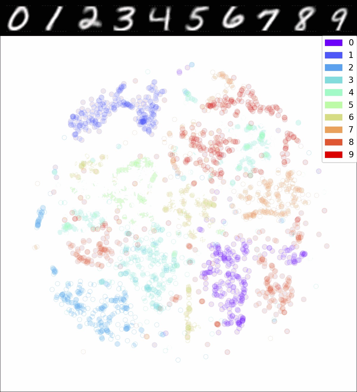 Training Visualisation YouTube Video