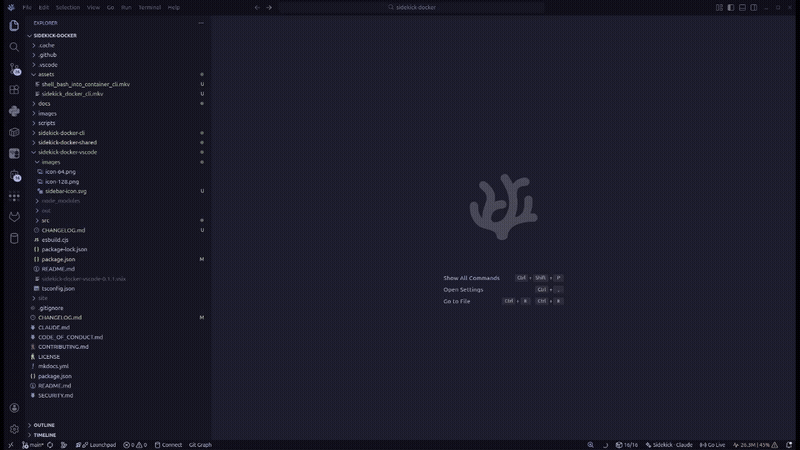 Sidekick Docker VS Code Extension Demo