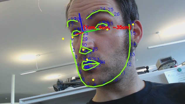 Face tracking for head pose estimation