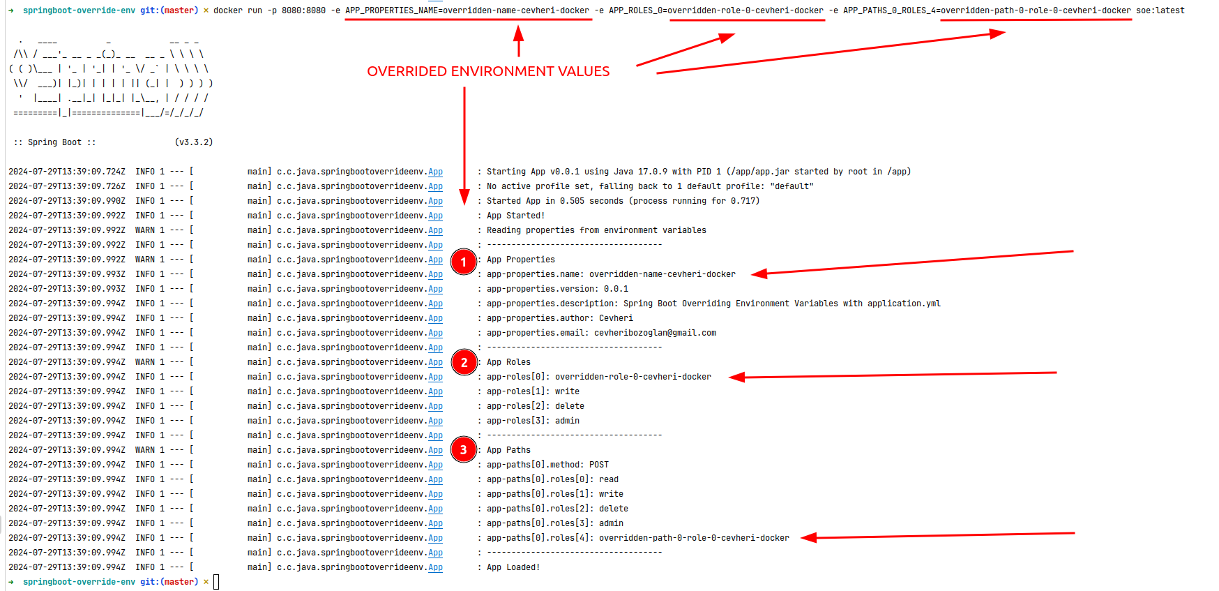 docker-override-values.png