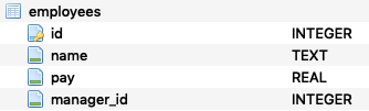 employees schema