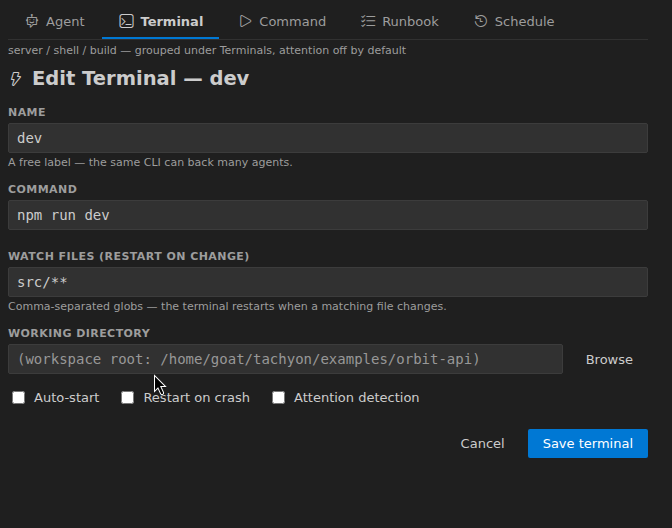 Agent Studio — Terminal tab: command and watch globs for restart-on-change