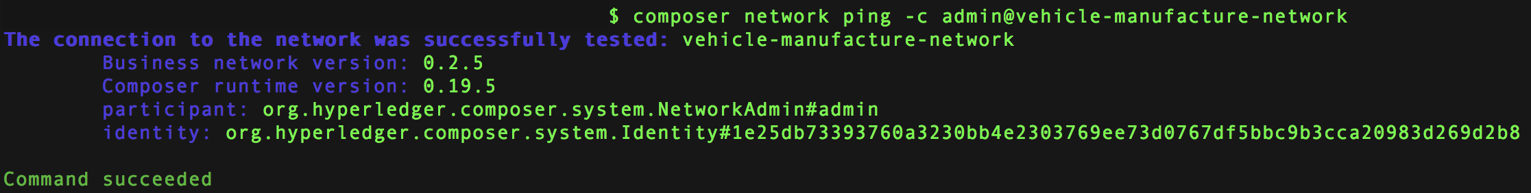 network ping