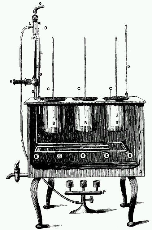 Dallinger's incubator