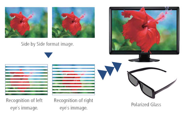 Camera Passive Cameras