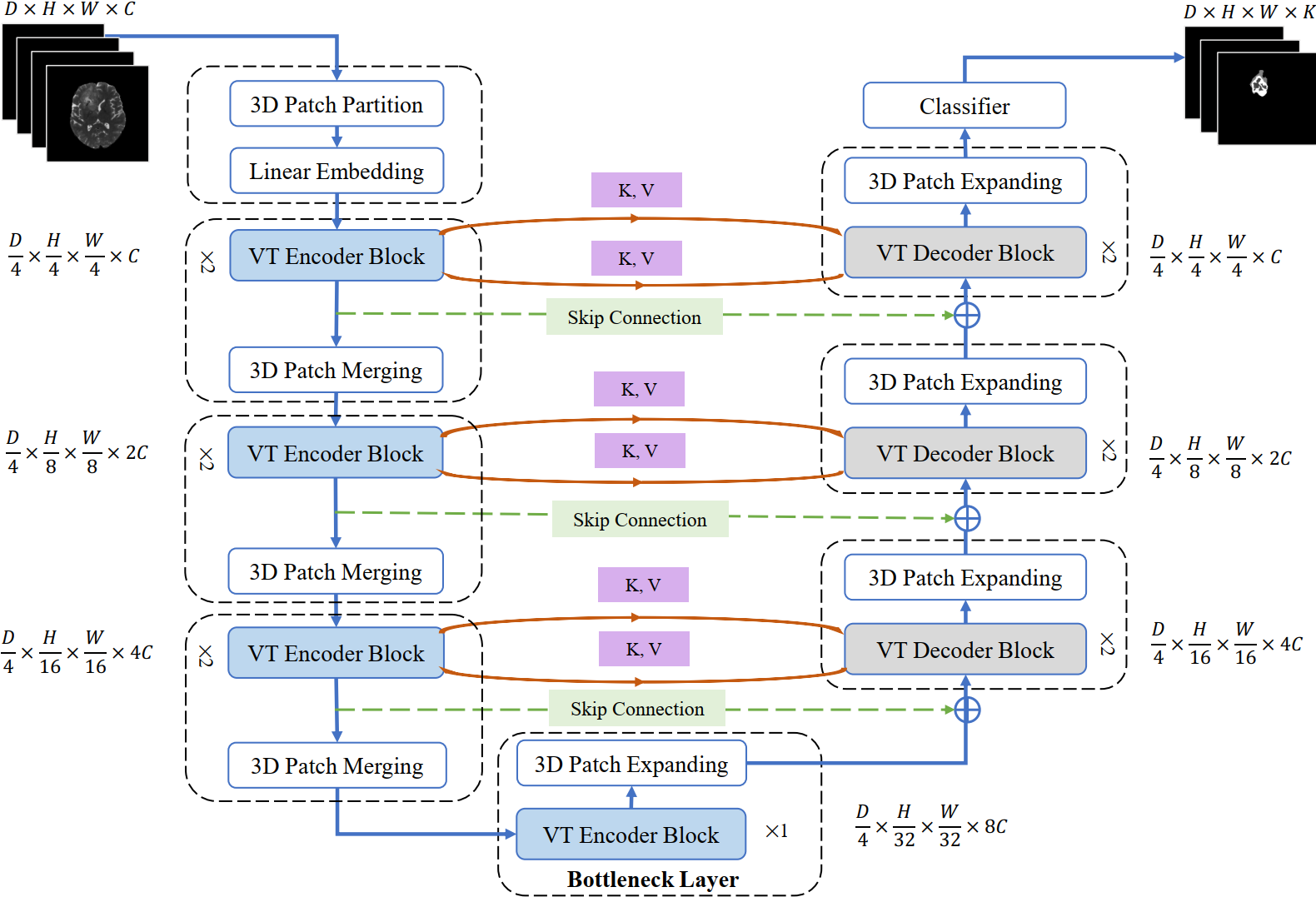 VT-UNet Architecture