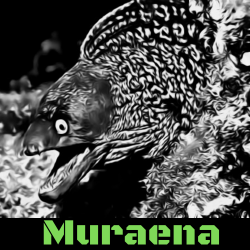 Muraena Logo