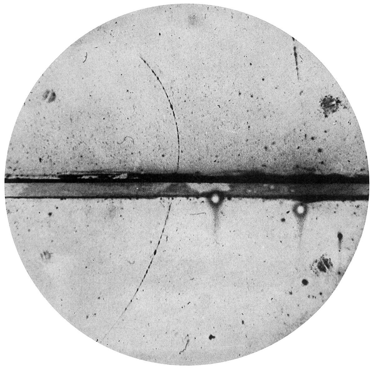 Carl Anderson's 1932 cloud-chamber photograph of the first positron ever observed — particle physics of exactly the kind Bruno Pontecorvo devoted his career to