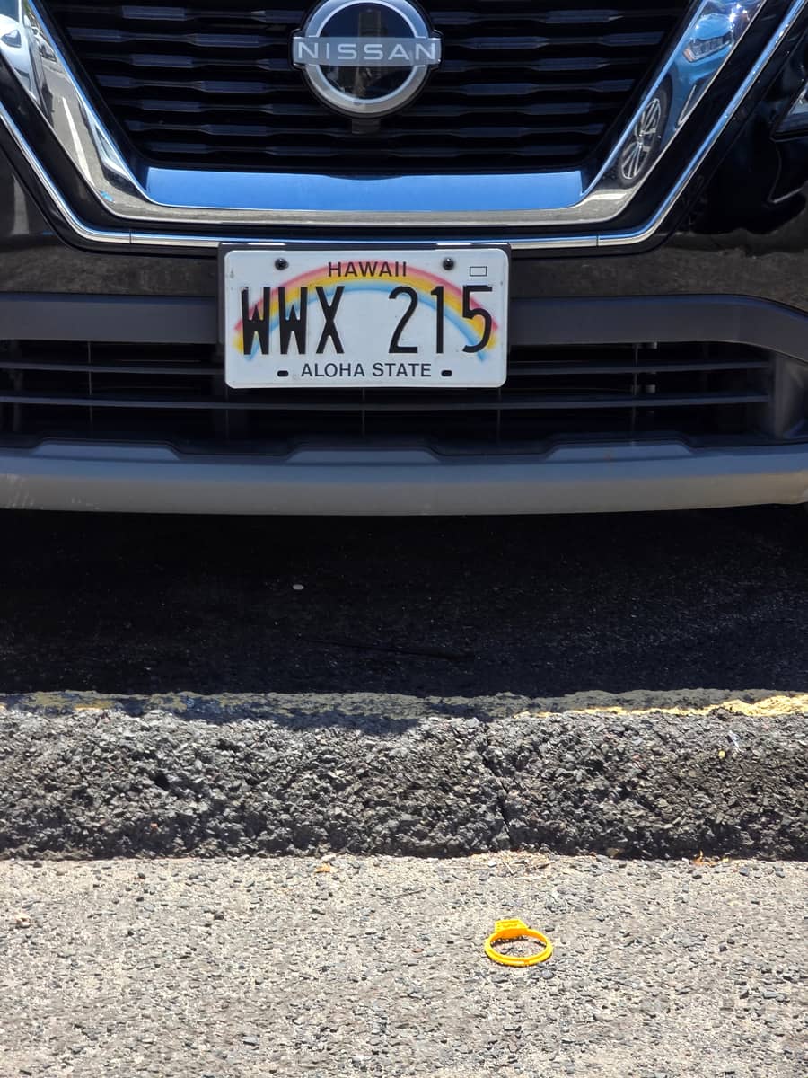 하와이 알로하 스테이트 번호판