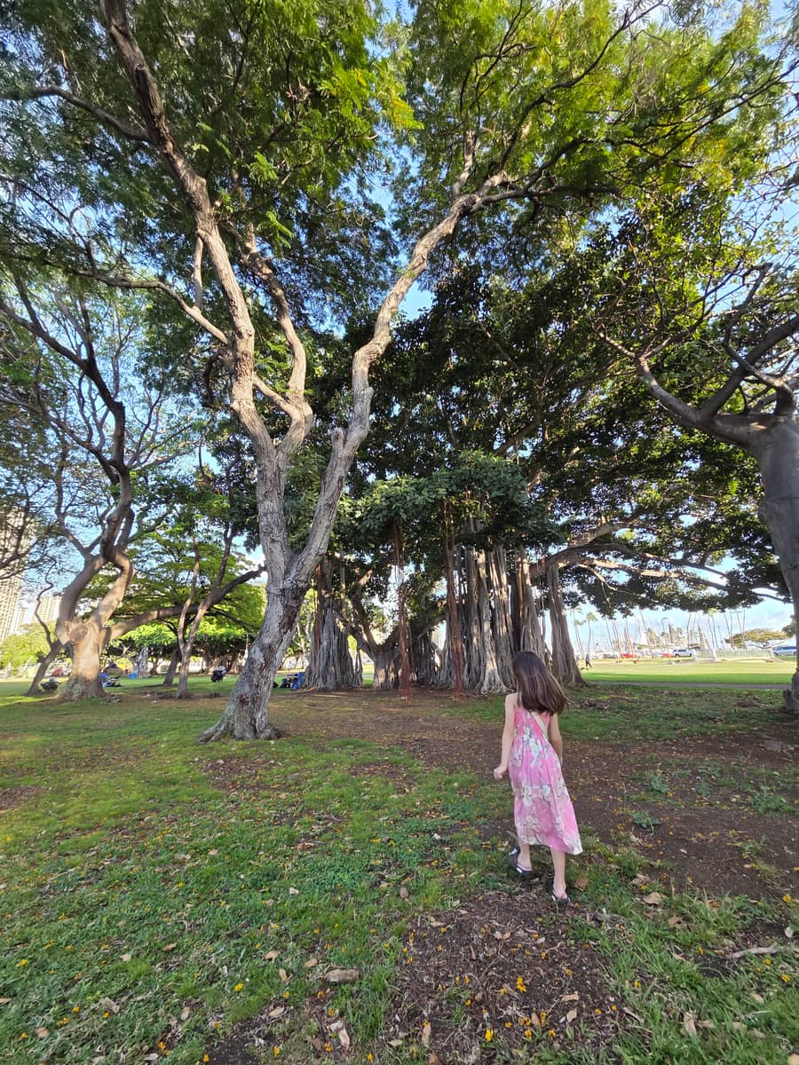 알라모아나 비치파크의 반얀트리