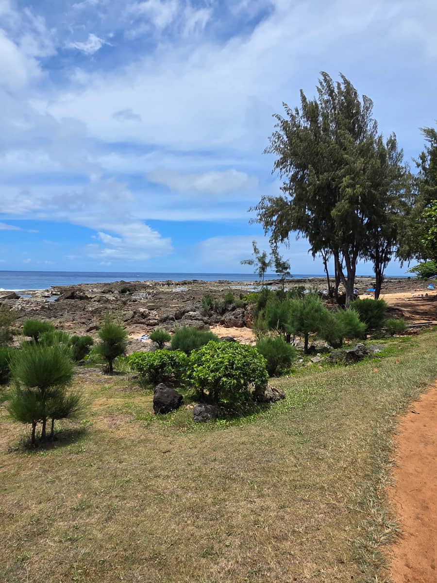 노스쇼어 해안 — 용암 바위와 바다