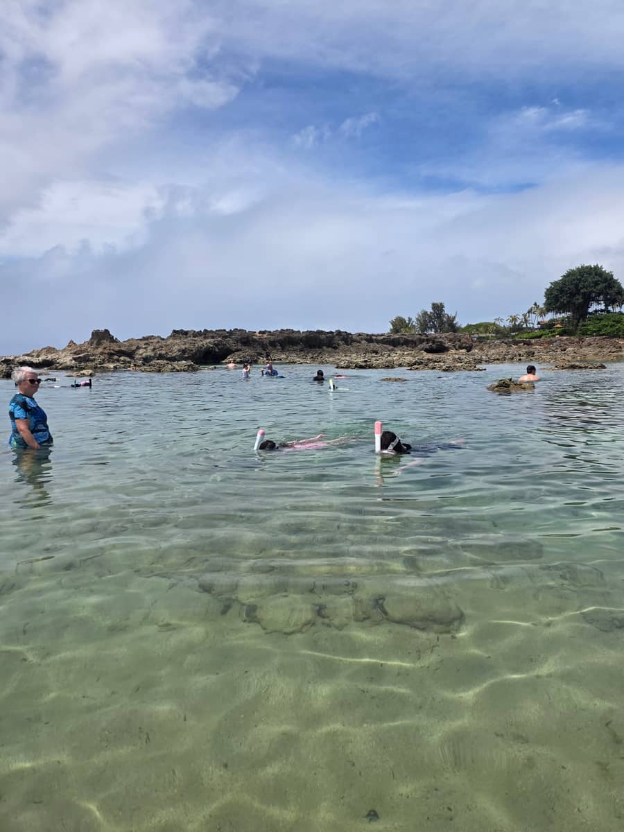 샤크스 코브의 투명한 바다