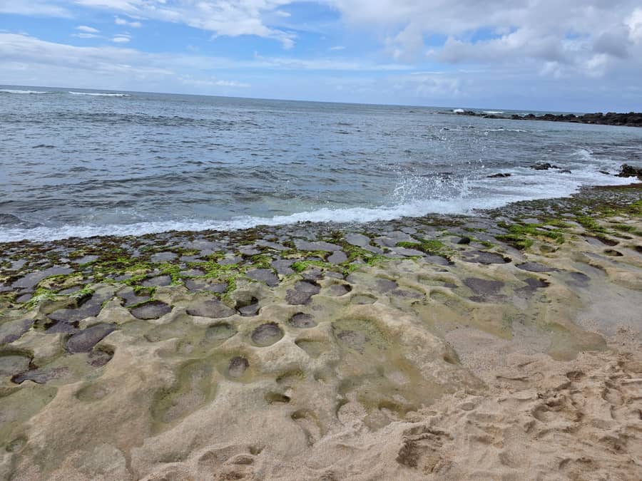 산호 바위 타이드풀