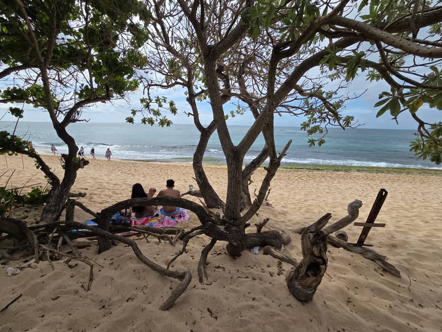 라니아케아 비치