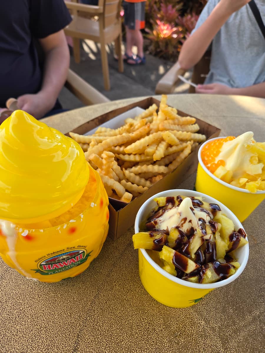 돌 위프와 감자튀김