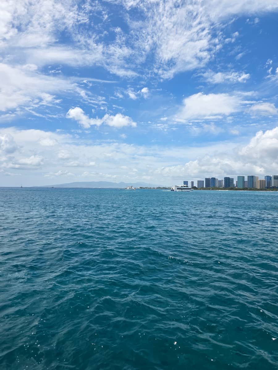 블루오션 스노클링 투어 — 와이키키 앞바다