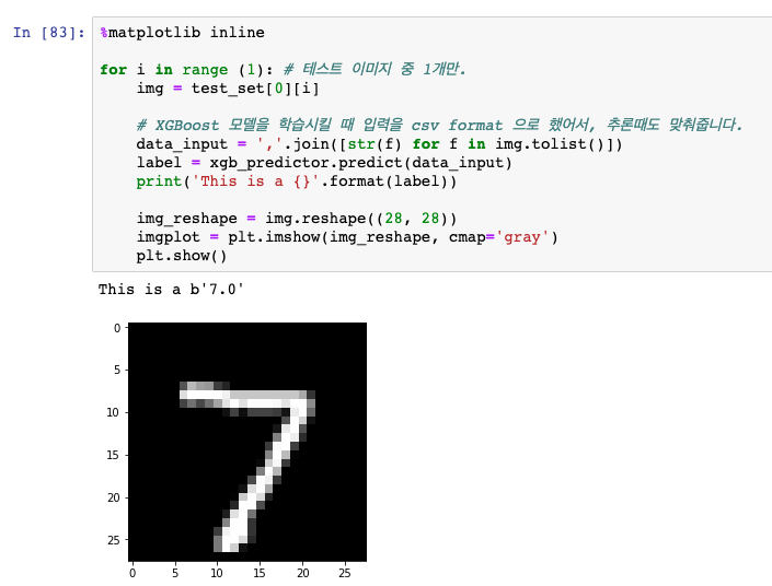 2019-07-21-pic1-mnist-xgboost-inference.png