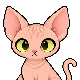 Sphynx