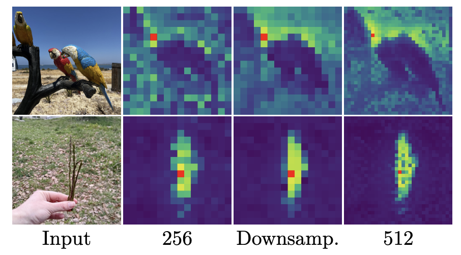 image-20250823181931124