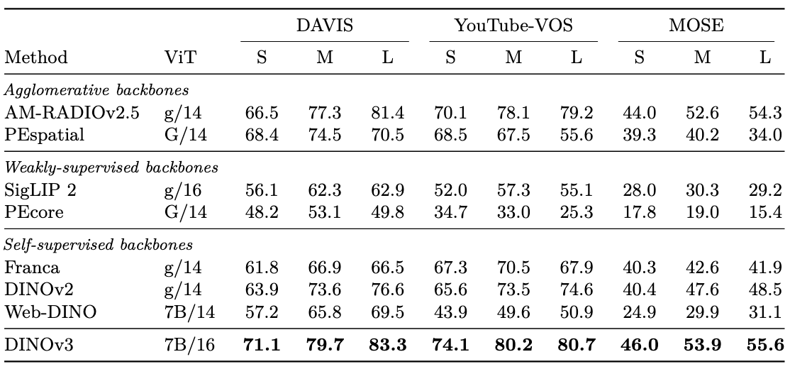 image-20250823184921620