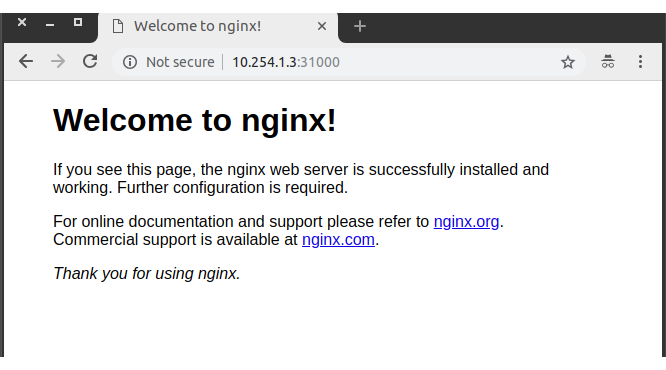 nginx-web