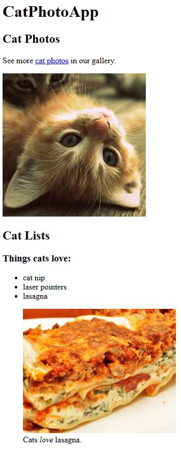 Cat Photo App Preview