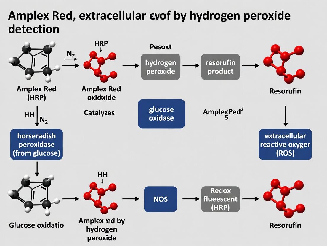 Detecting Extracellular Hydrogen Peroxide: A Comprehensive Guide to the Amplex Red Assay Protocol