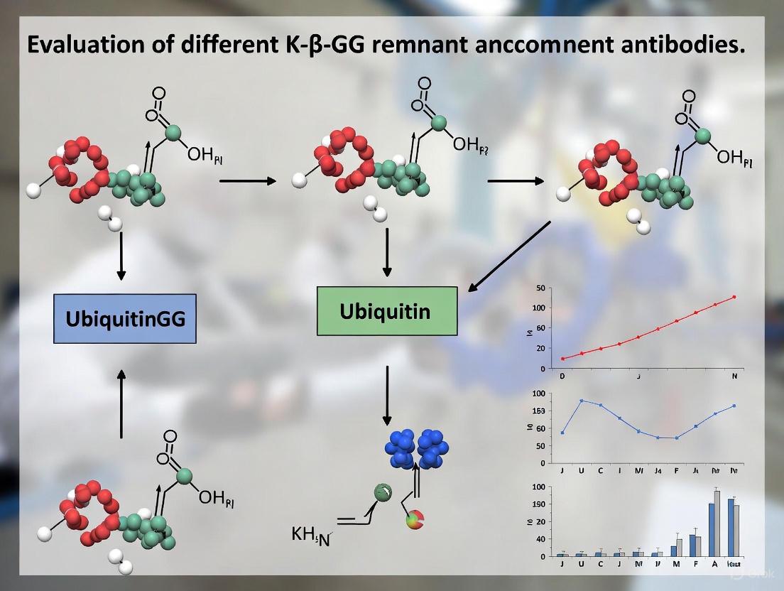 Evaluating K-ε-GG Remnant Antibody Specificity: A Comprehensive Guide for Proteomics and Drug Development