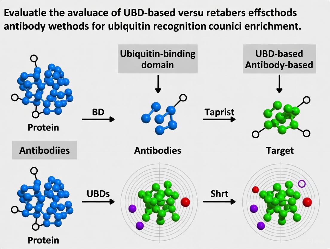 UBD vs. Antibody-Based Methods: A Comprehensive Guide to Evaluating Enrichment Efficiency for Protein Ubiquitination