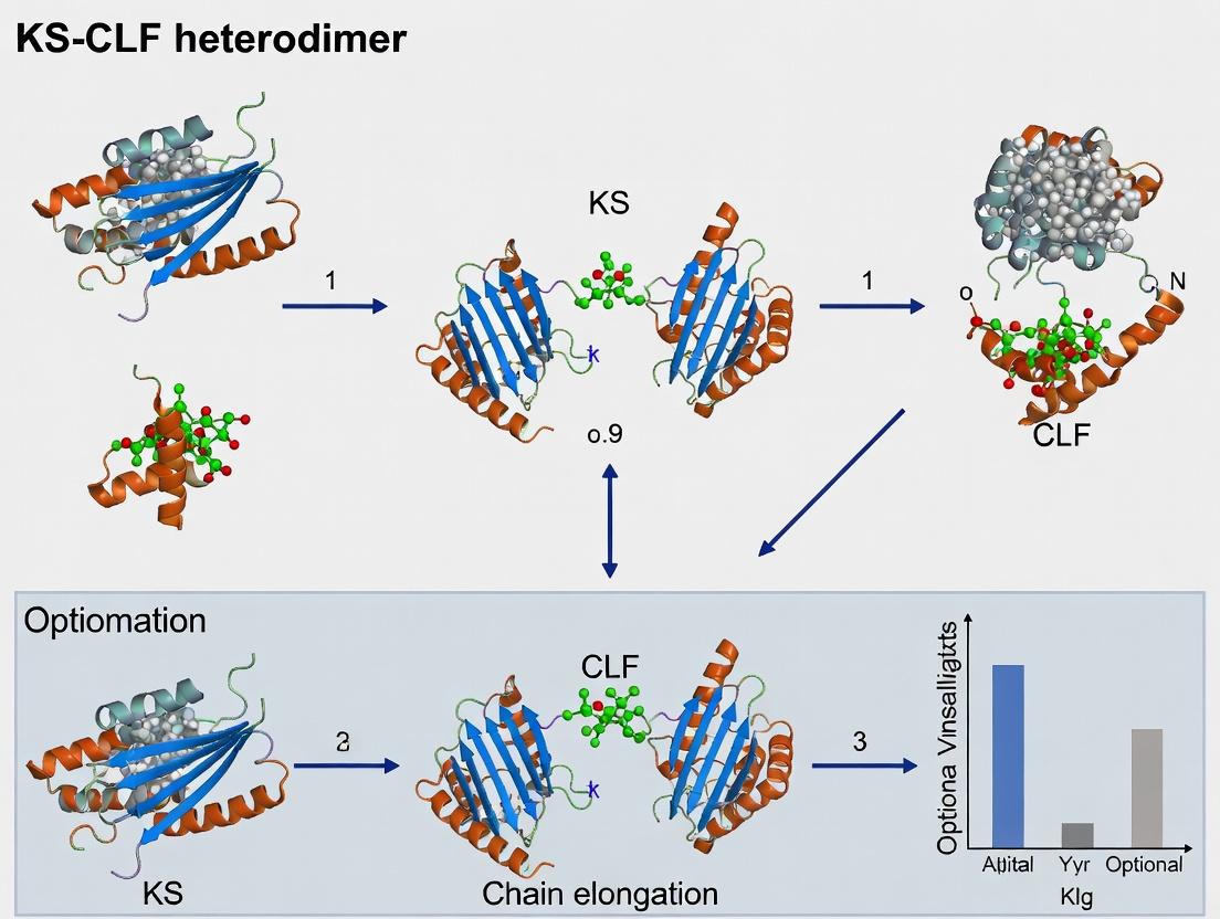 Unlocking the KS-CLF Heterodimer: A Structural and Mechanistic Guide to Type I Polyketide Chain Elongation