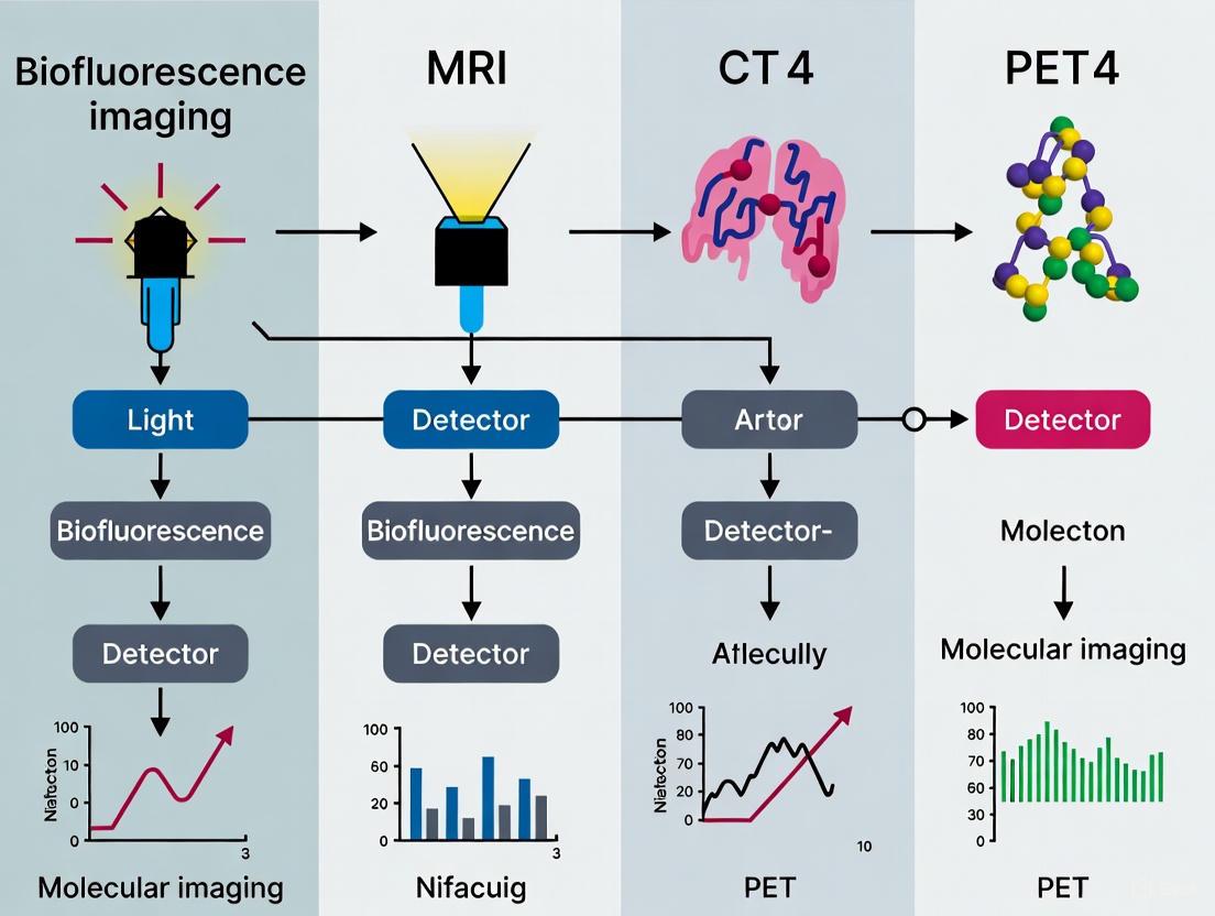 Molecular Imaging Modalities: A Comparative Analysis of Biofluorescence, MRI, CT, and PET