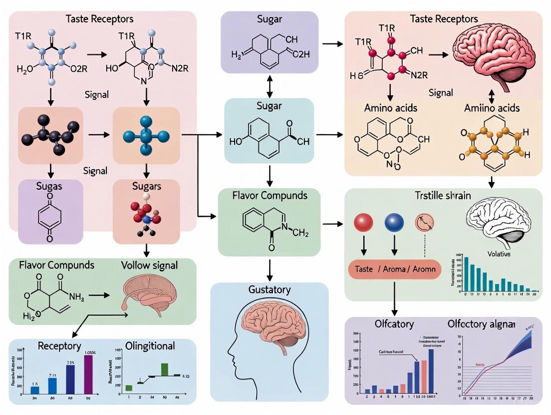 Decoding Flavor: Molecular Mechanisms, Advanced Analytics, and Clinical Applications in Sensory Perception