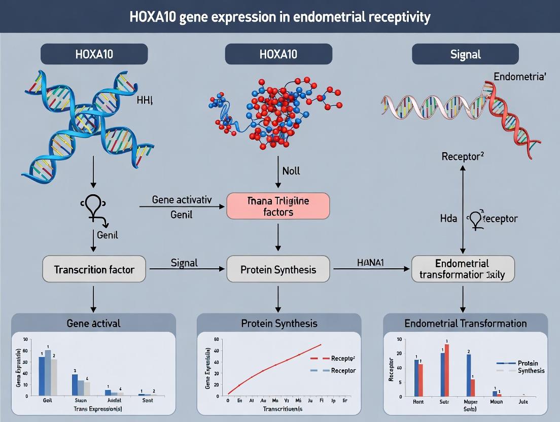 HOXA10 and Endometrial Receptivity: A Molecular Gatekeeper for Successful Implantation