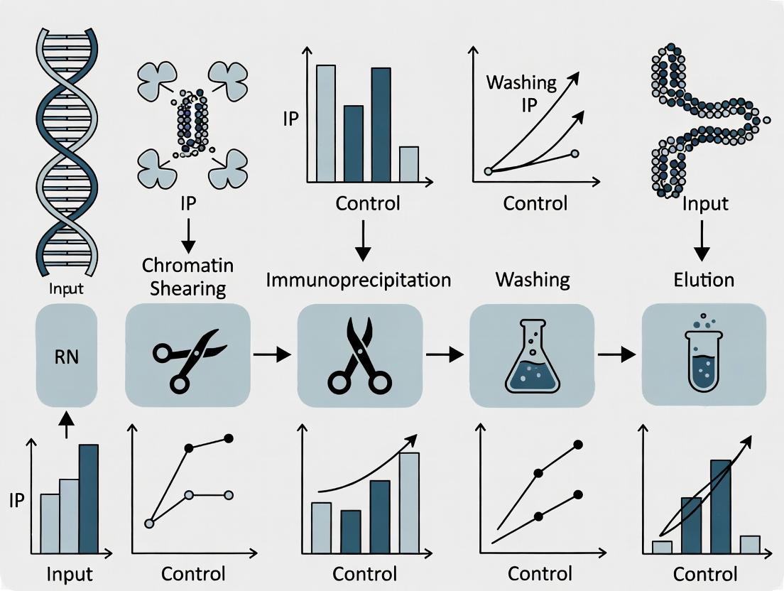 ChIP Assay: A Complete Guide to Chromatin Immunoprecipitation Protocol, Data Analysis, and Applications