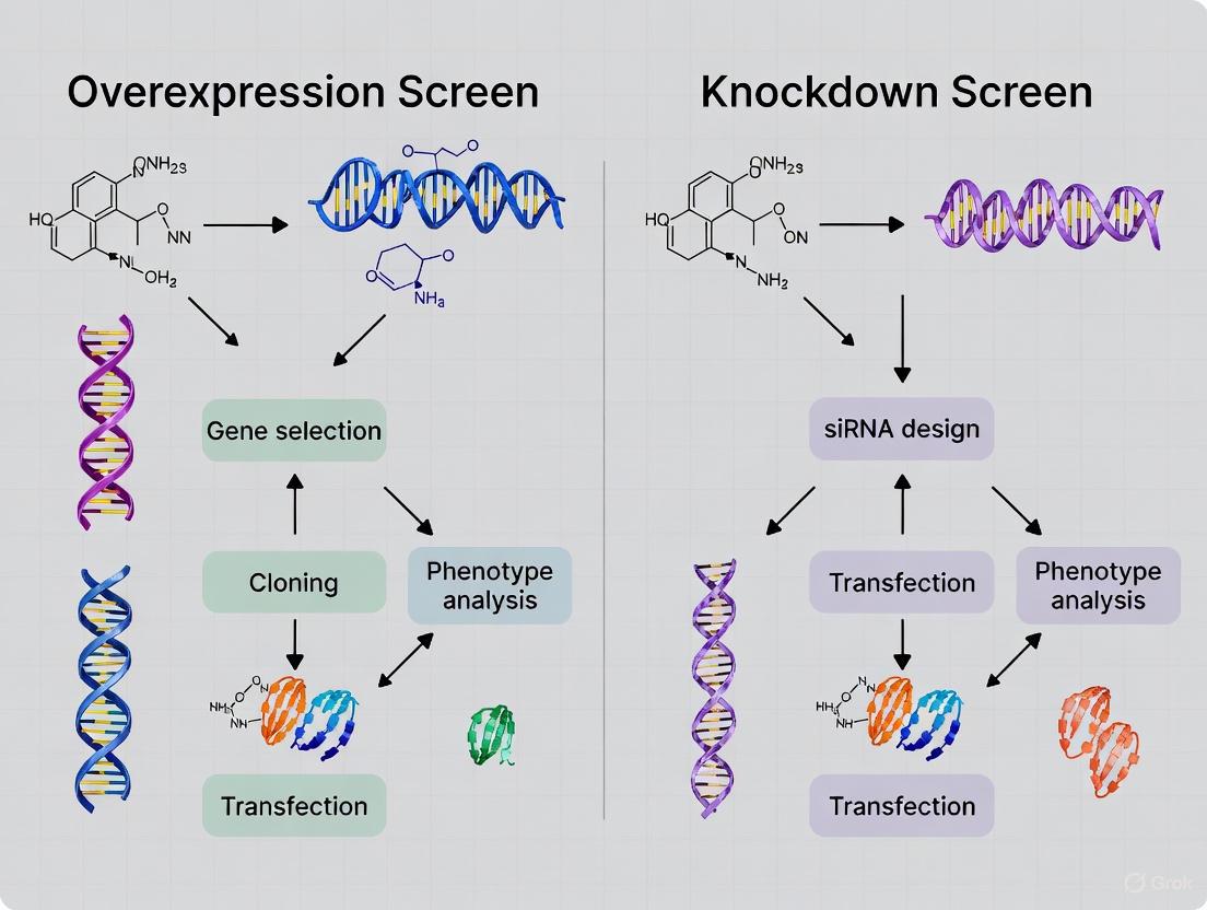 Overexpression vs Knockdown Screens: A Comprehensive Guide for Functional Genomics and Drug Discovery
